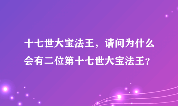 十七世大宝法王，请问为什么会有二位第十七世大宝法王？