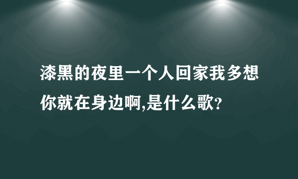 漆黑的夜里一个人回家我多想你就在身边啊,是什么歌？