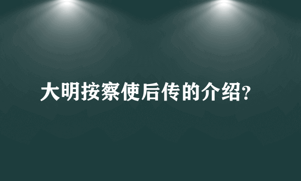 大明按察使后传的介绍？