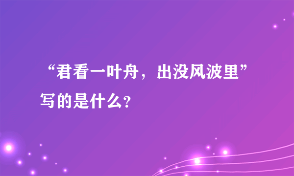 “君看一叶舟，出没风波里”写的是什么？