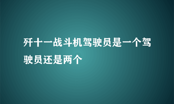 歼十一战斗机驾驶员是一个驾驶员还是两个