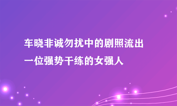 车晓非诚勿扰中的剧照流出 一位强势干练的女强人