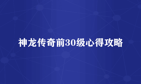 神龙传奇前30级心得攻略