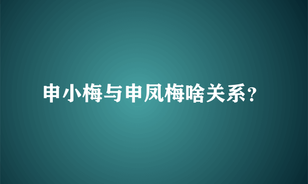 申小梅与申凤梅啥关系？