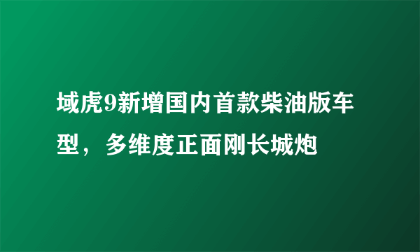 域虎9新增国内首款柴油版车型，多维度正面刚长城炮