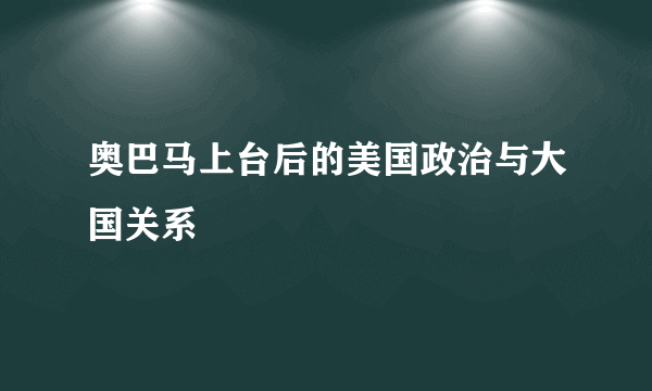 奥巴马上台后的美国政治与大国关系