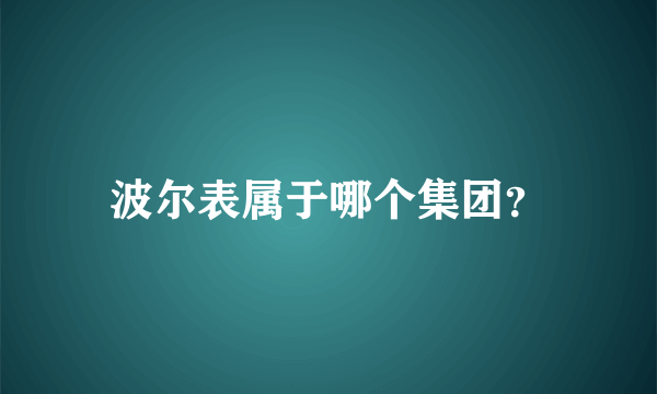 波尔表属于哪个集团？