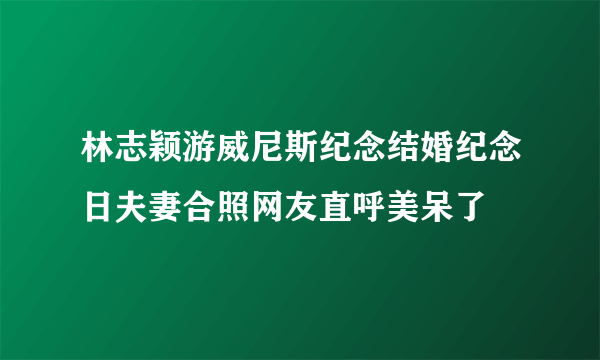 林志颖游威尼斯纪念结婚纪念日夫妻合照网友直呼美呆了