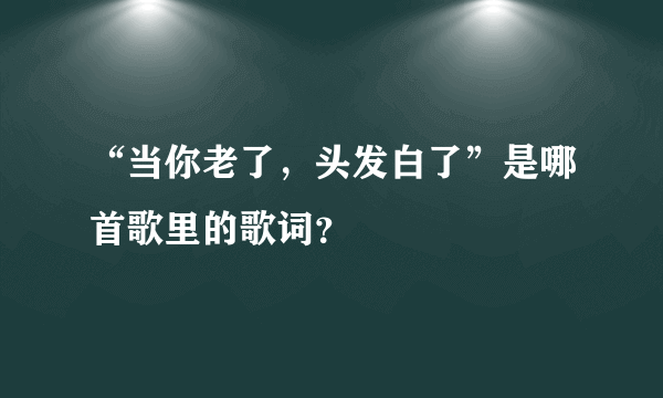 “当你老了，头发白了”是哪首歌里的歌词？