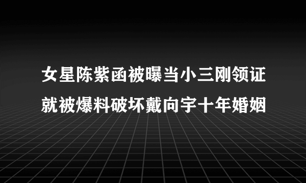 女星陈紫函被曝当小三刚领证就被爆料破坏戴向宇十年婚姻