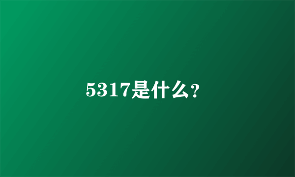 5317是什么？