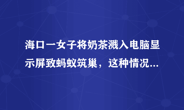 海口一女子将奶茶溅入电脑显示屏致蚂蚁筑巢，这种情况还能修好吗？