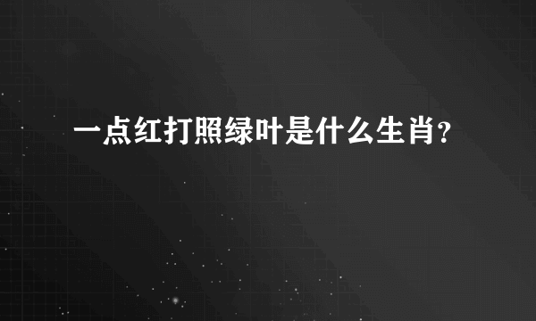 一点红打照绿叶是什么生肖？