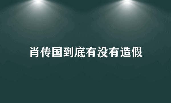 肖传国到底有没有造假