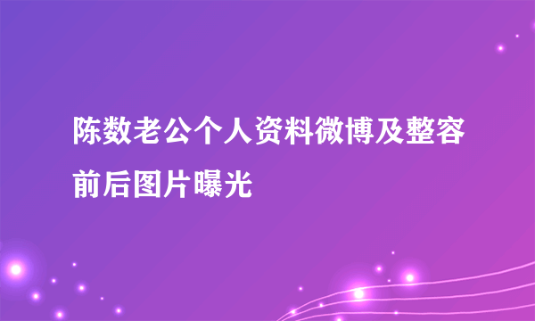 陈数老公个人资料微博及整容前后图片曝光