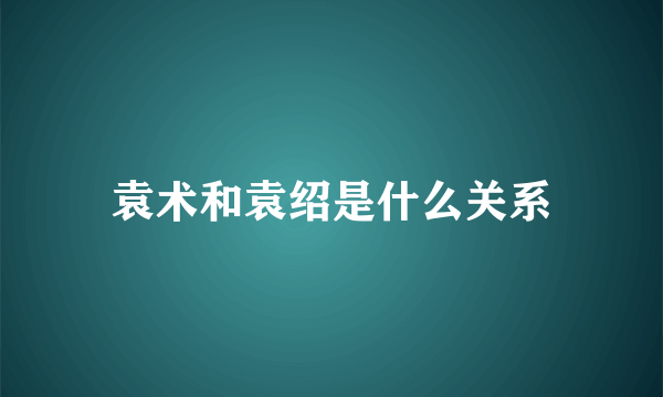 袁术和袁绍是什么关系