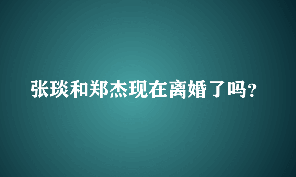 张琰和郑杰现在离婚了吗？