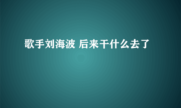 歌手刘海波 后来干什么去了