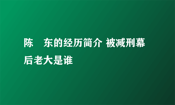 陈垚东的经历简介 被减刑幕后老大是谁