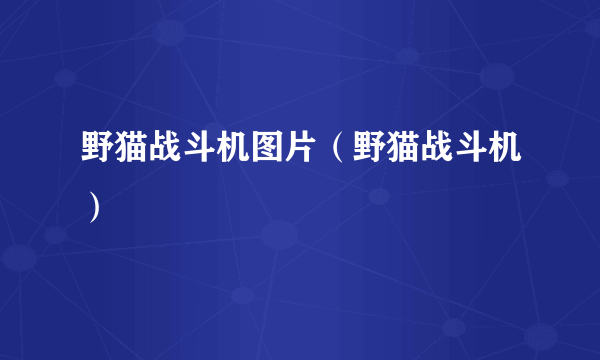 野猫战斗机图片（野猫战斗机）