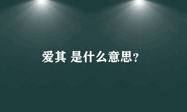 爱其 是什么意思？