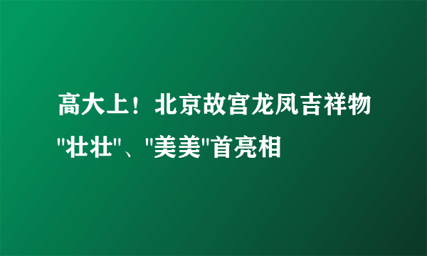 高大上！北京故宫龙凤吉祥物