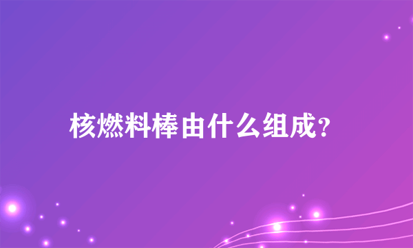 核燃料棒由什么组成？