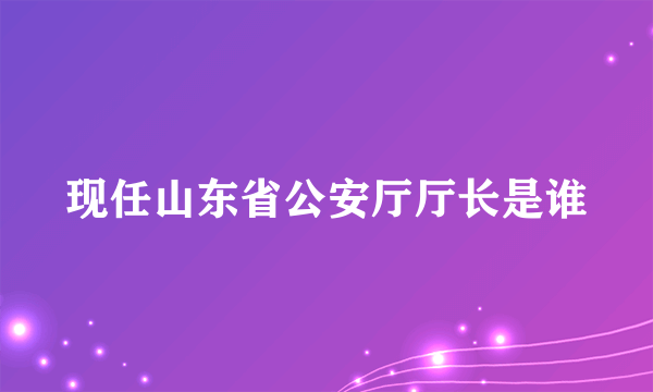 现任山东省公安厅厅长是谁