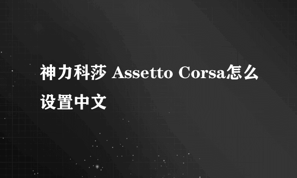 神力科莎 Assetto Corsa怎么设置中文