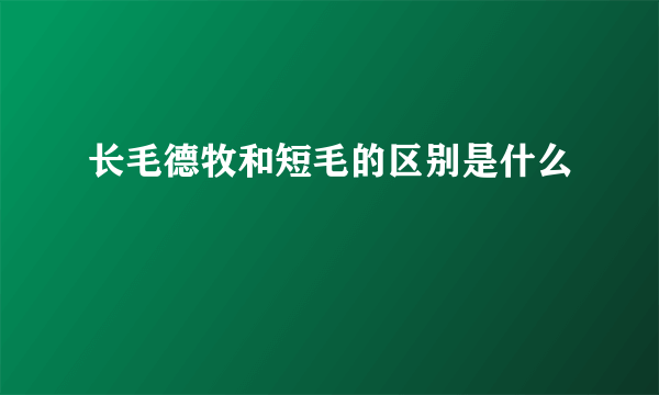 长毛德牧和短毛的区别是什么