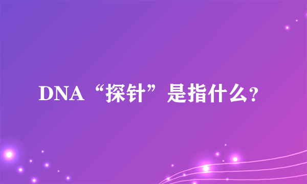 DNA“探针”是指什么？