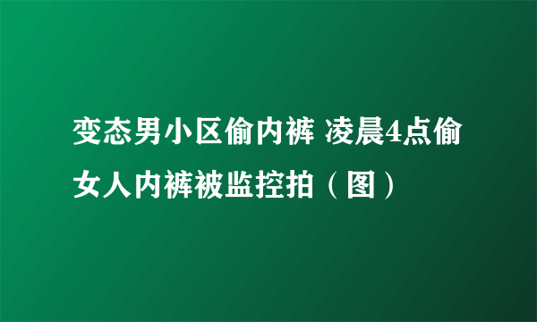 变态男小区偷内裤 凌晨4点偷女人内裤被监控拍（图）