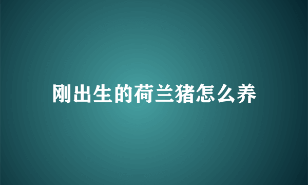 刚出生的荷兰猪怎么养