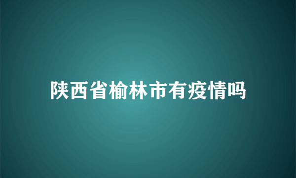 陕西省榆林市有疫情吗