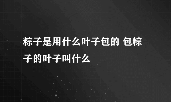 粽子是用什么叶子包的 包粽子的叶子叫什么