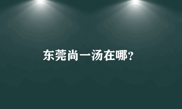 东莞尚一汤在哪？