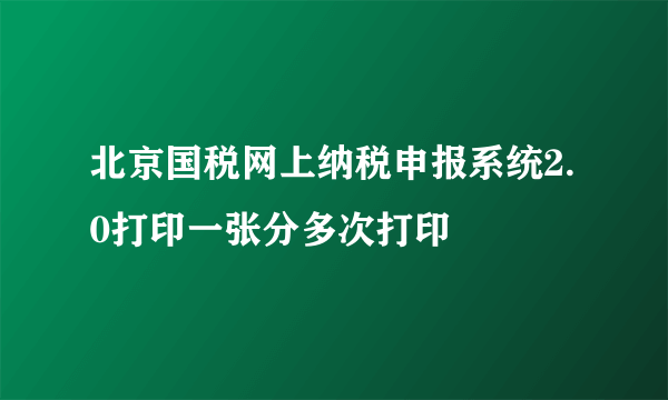 北京国税网上纳税申报系统2.0打印一张分多次打印