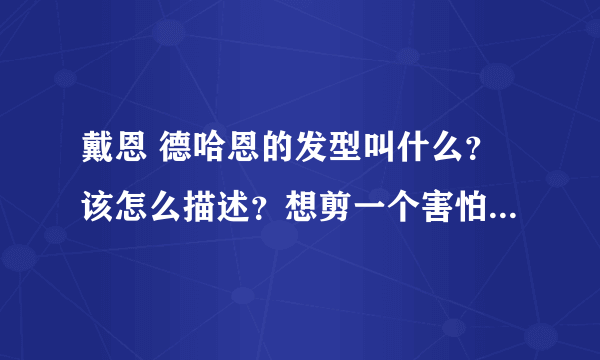 戴恩 德哈恩的发型叫什么？该怎么描述？想剪一个害怕到了理发店不懂说！