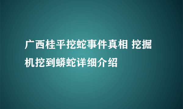 广西桂平挖蛇事件真相 挖掘机挖到蟒蛇详细介绍