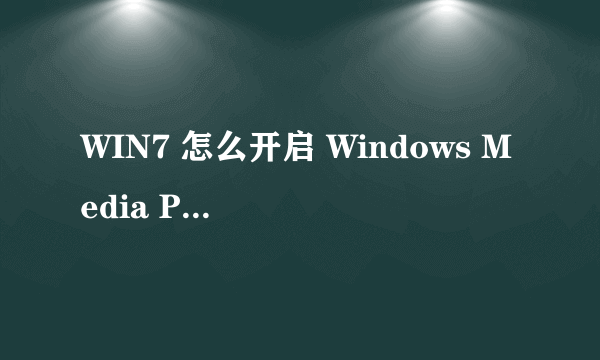 WIN7 怎么开启 Windows Media Player Network Sharing Service