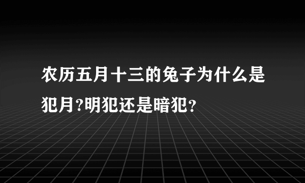 农历五月十三的兔子为什么是犯月?明犯还是暗犯？