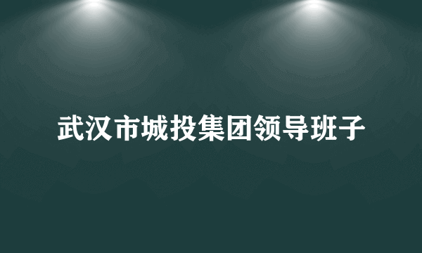 武汉市城投集团领导班子