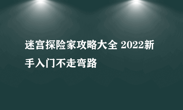 迷宫探险家攻略大全 2022新手入门不走弯路