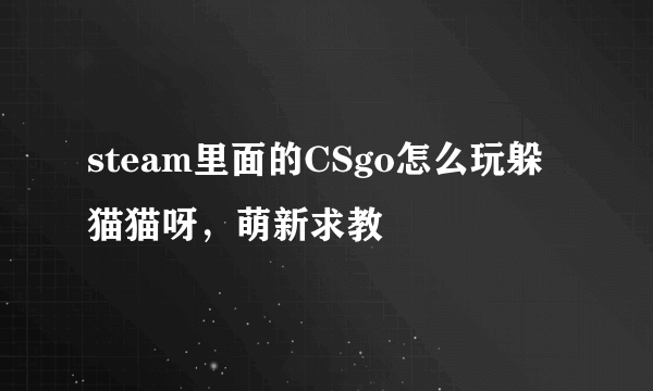 steam里面的CSgo怎么玩躲猫猫呀，萌新求教