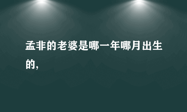 孟非的老婆是哪一年哪月出生的,