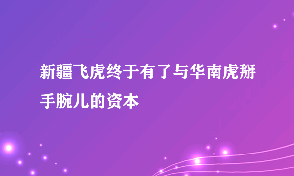 新疆飞虎终于有了与华南虎掰手腕儿的资本