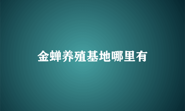 金蝉养殖基地哪里有