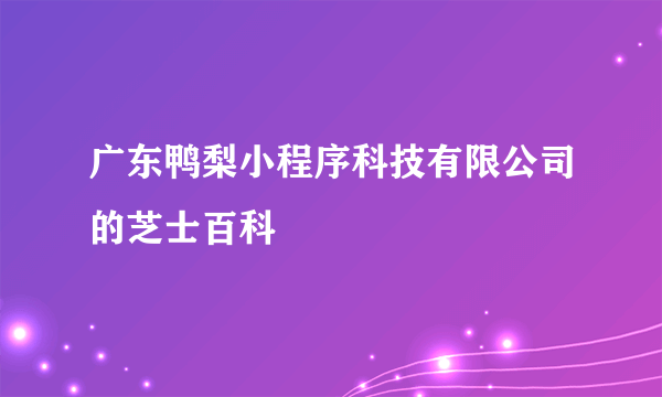 广东鸭梨小程序科技有限公司的芝士百科