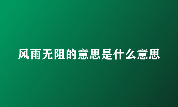 风雨无阻的意思是什么意思