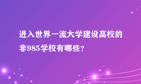 进入世界一流大学建设高校的非985学校有哪些？